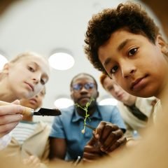 Kids in School Fisheye